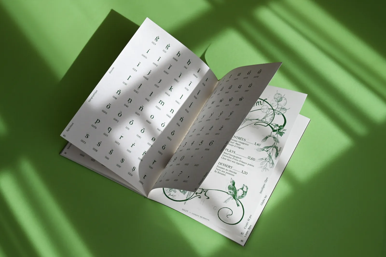 Spécimen L’Ancolie ouvert sur les pages de jeu de caractères, posé sur fond vert