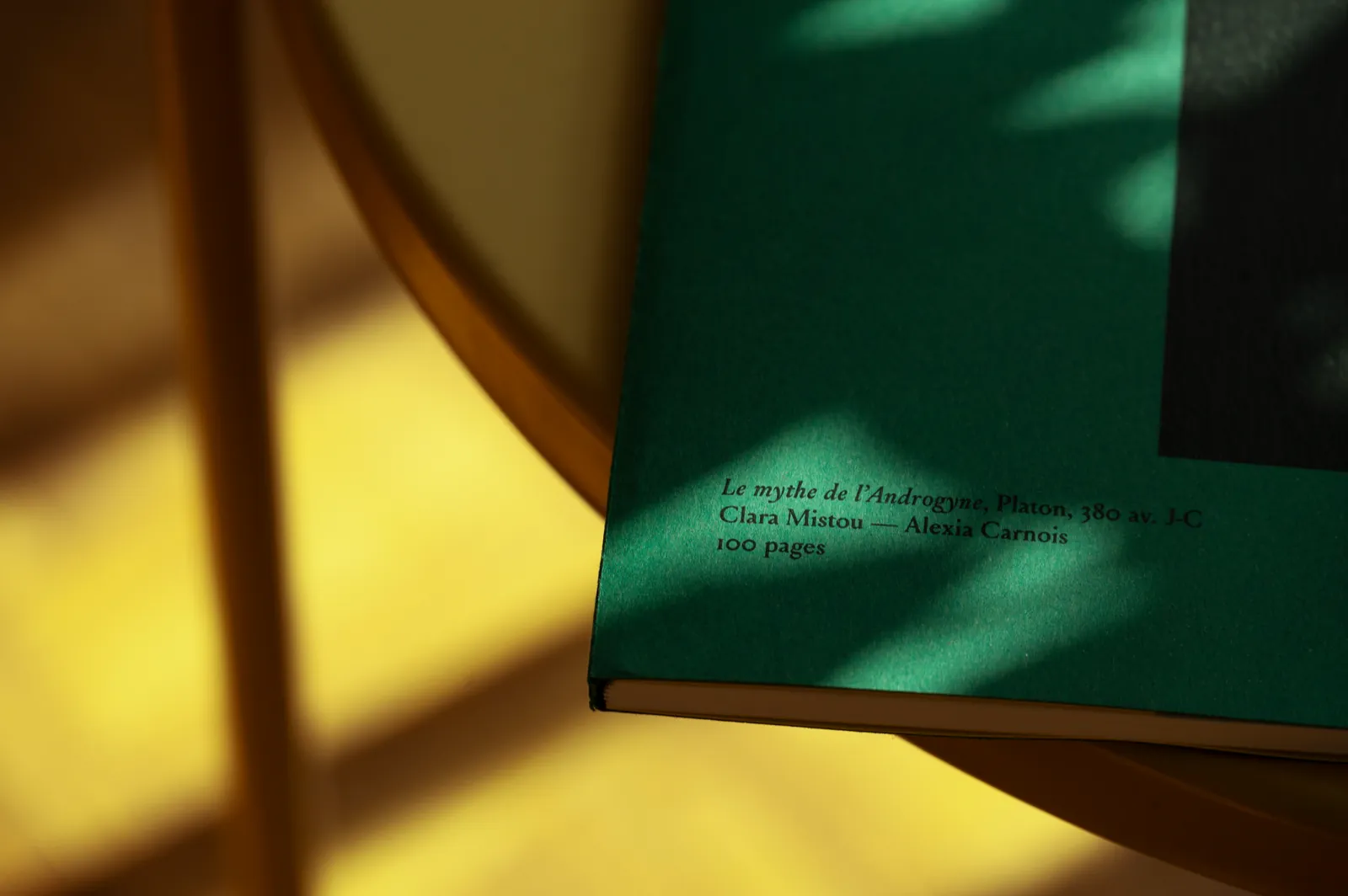 Livre Le mythe de l’Androgyne à couverture verte, dans la lumière du soleil