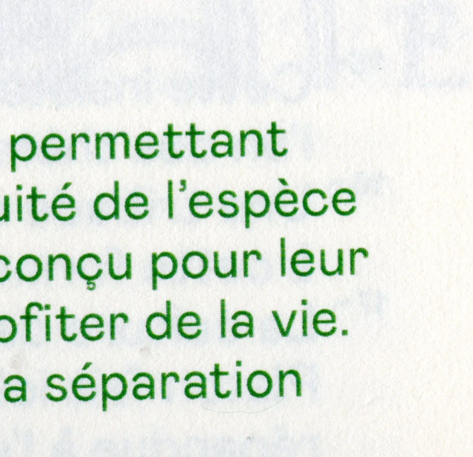 Détail de composition en vert du livre Le mythe de l’Androgyne