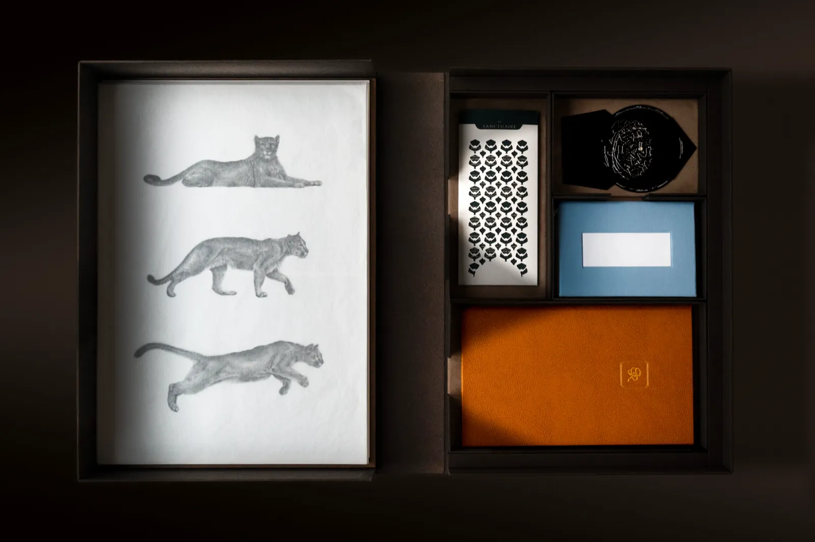 Intérieur du coffret : dessins de pumas et objets imprimés des quatre yachts